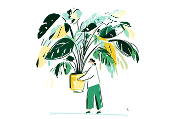 Imagen de una matera