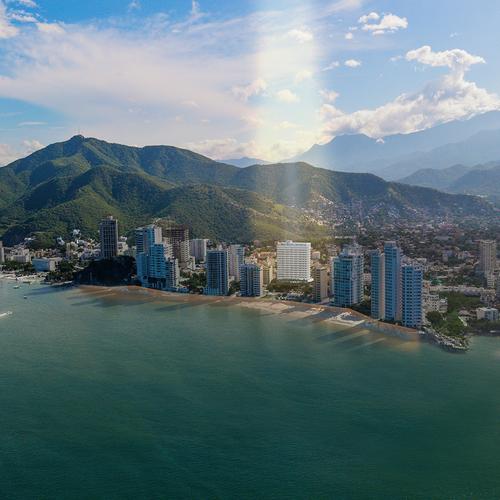 Portada de Ambar Bio