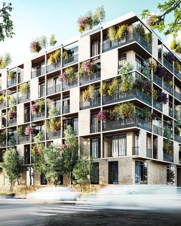 Portada de Park San Rafael