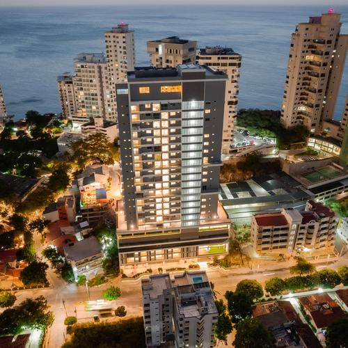 Portada de Ambar Roca