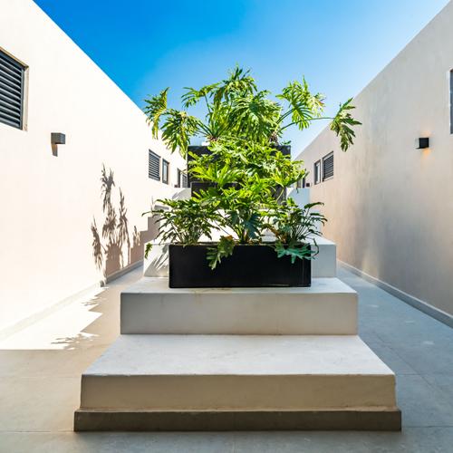 Portada de Azores 210