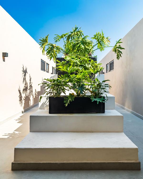 Portada de Azores 210