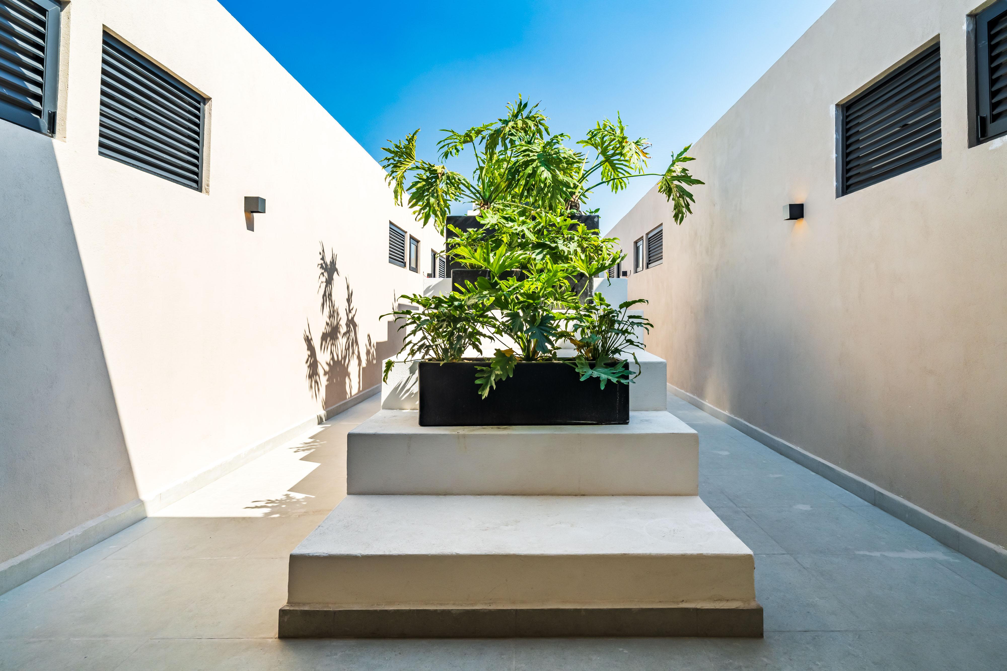 Portada de Azores 210