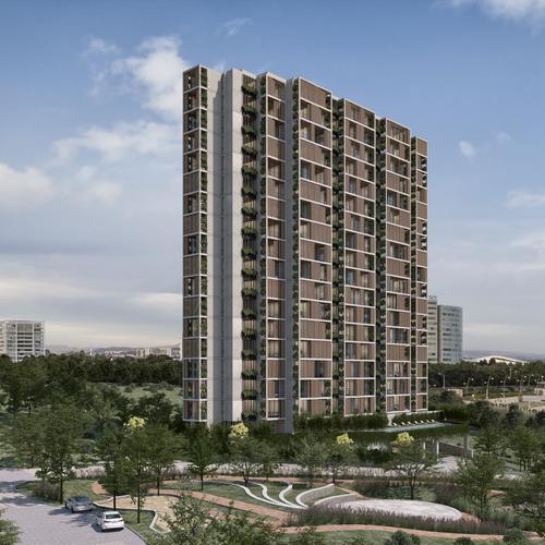 Portada de SHOJI LIVING