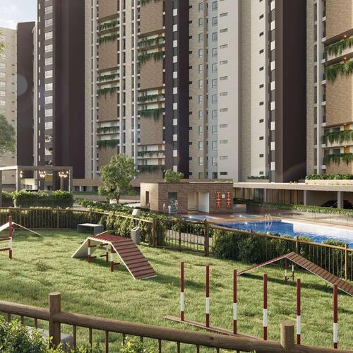 Portada de Tierra Grata Camino Verde