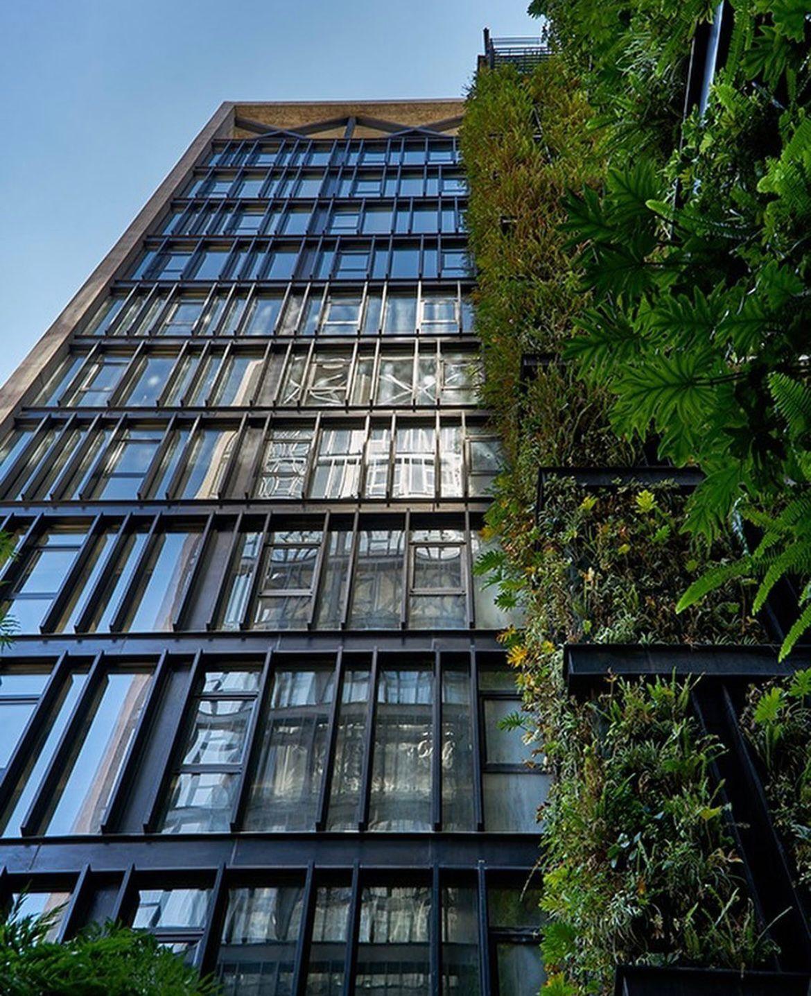 Portada de The Limited