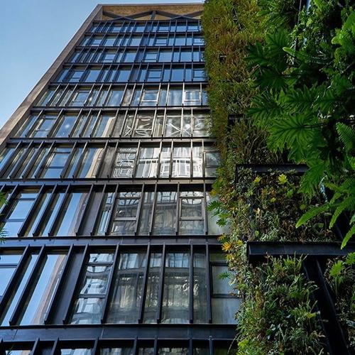 Portada de The Limited