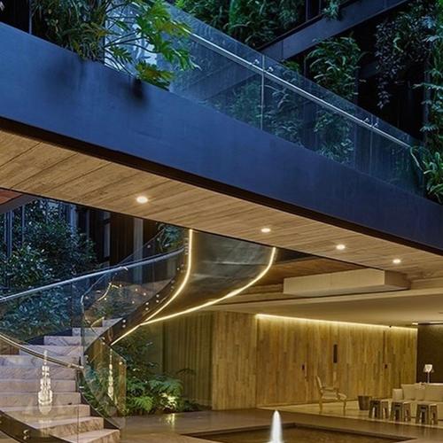 Portada de The Limited