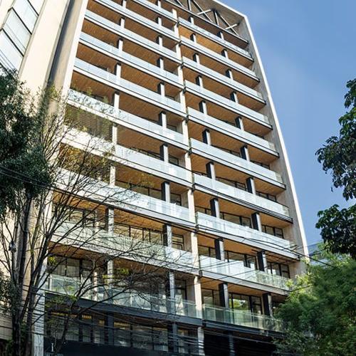 Portada de The Limited