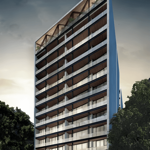 Portada de The Limited