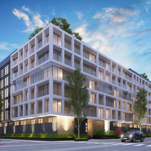 Portada de Skypark Amores 1849