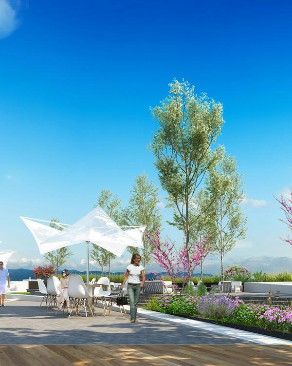 Portada de Skypark Amores 1849