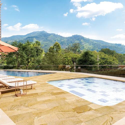 Portada de Bosque Grande