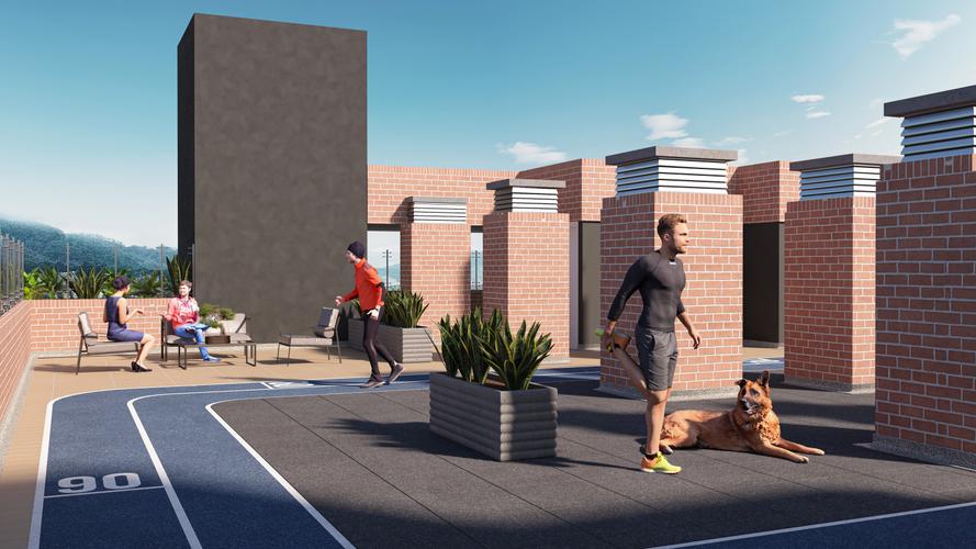 imagenes proyecto