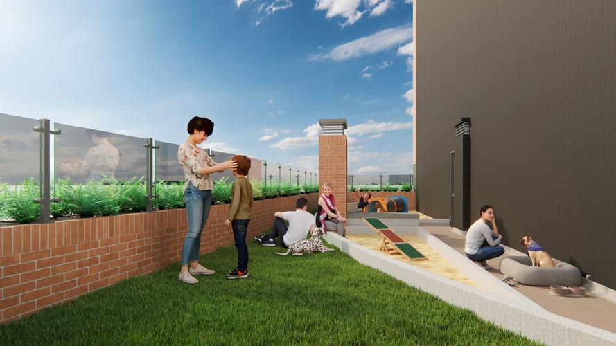 imagenes proyecto
