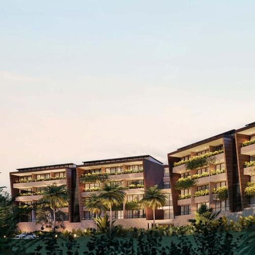 Portada de Palmerium