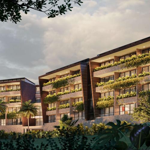 Portada de Palmerium