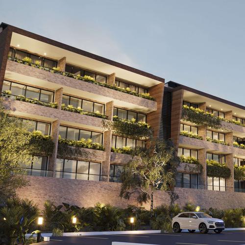 Portada de Palmerium