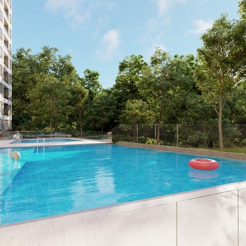 Portada de Livorno Torre 2