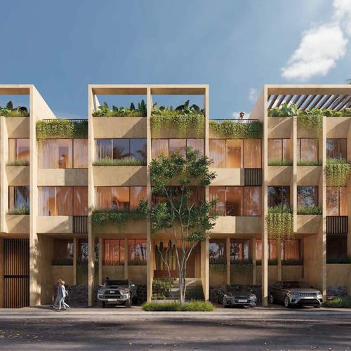 Portada de Salvia El Dorado