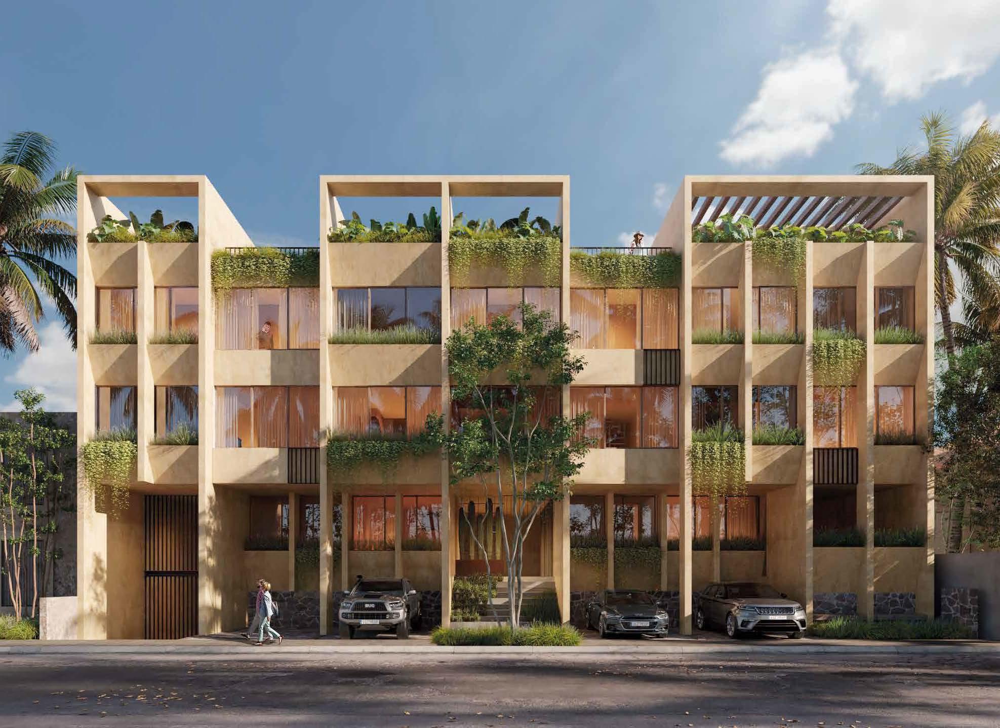 Portada de Salvia El Dorado