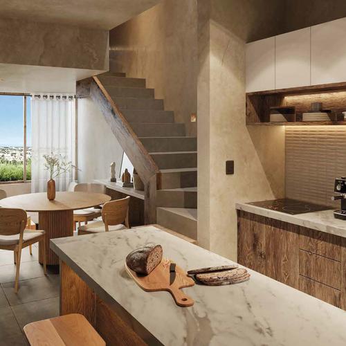 Portada de Salvia El Dorado