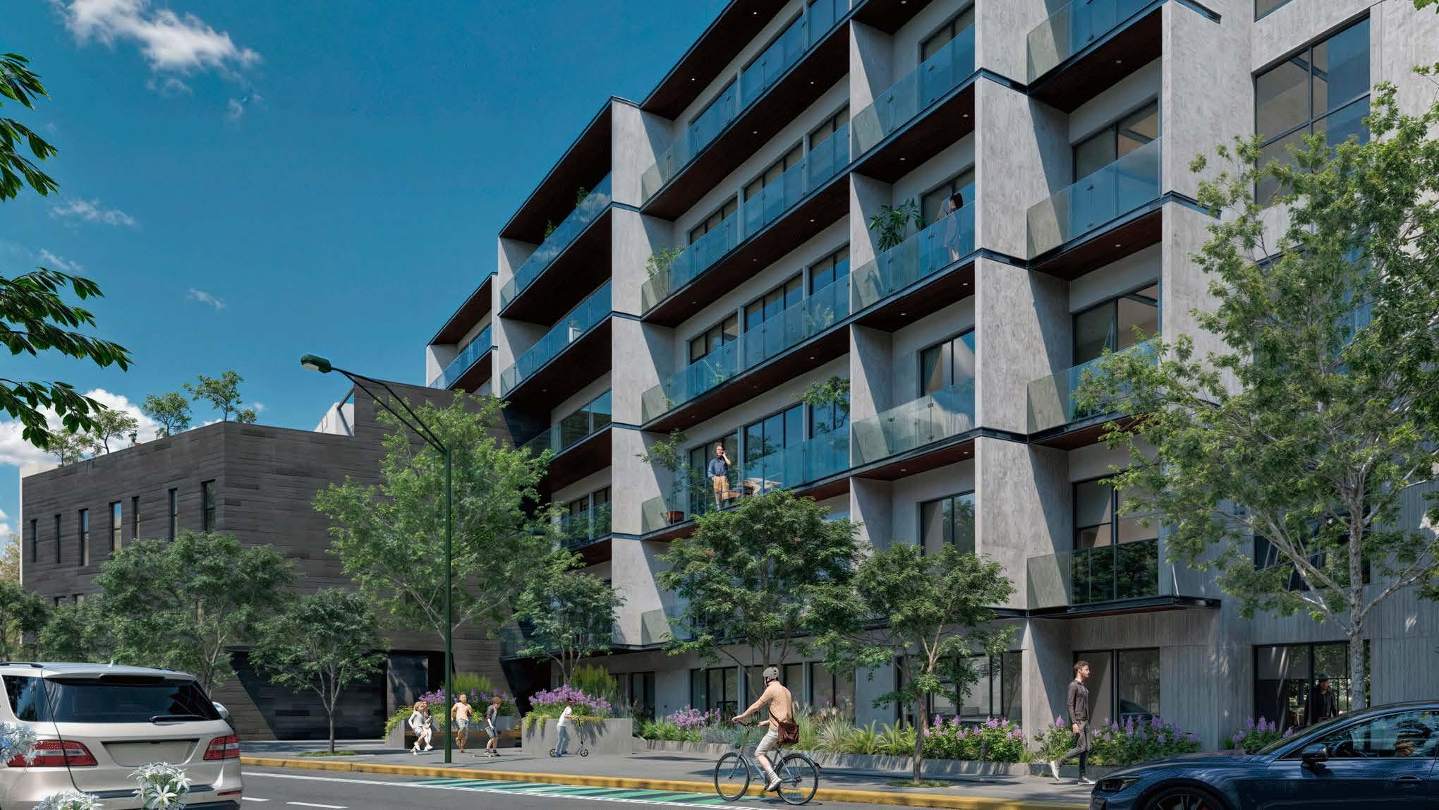 Portada de Splendor Coyoacán