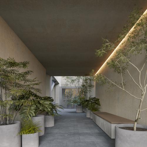 Portada de Nuvola Golfo de Cortés