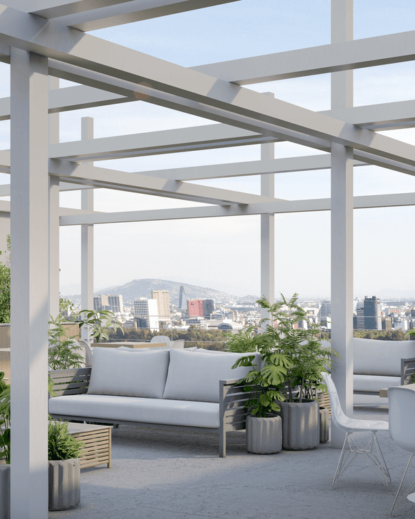 Portada de Girasol Condesa