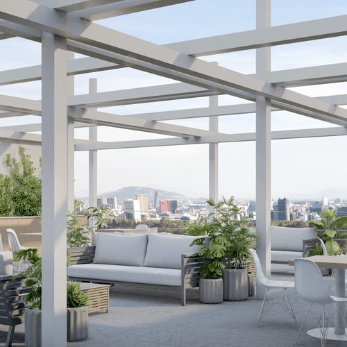 Portada de Girasol Condesa