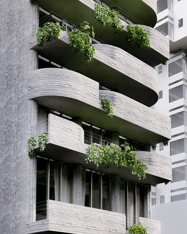 Portada de Girasol Condesa