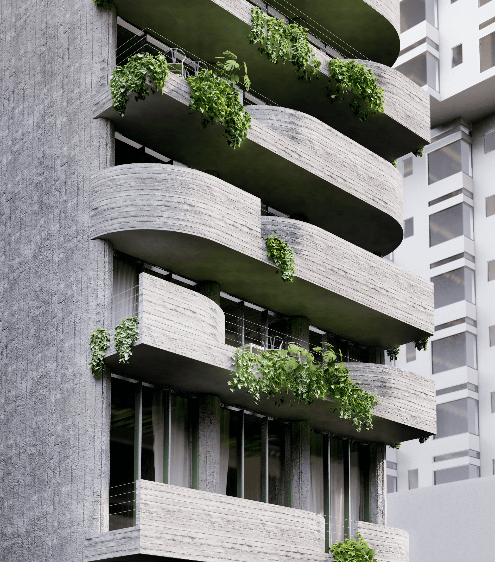 Portada de Girasol Condesa