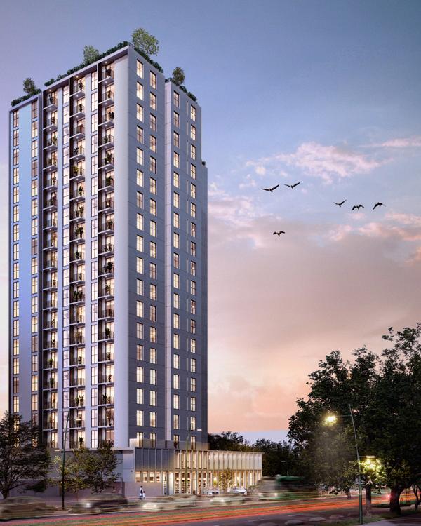 Portada de Vista Bosque