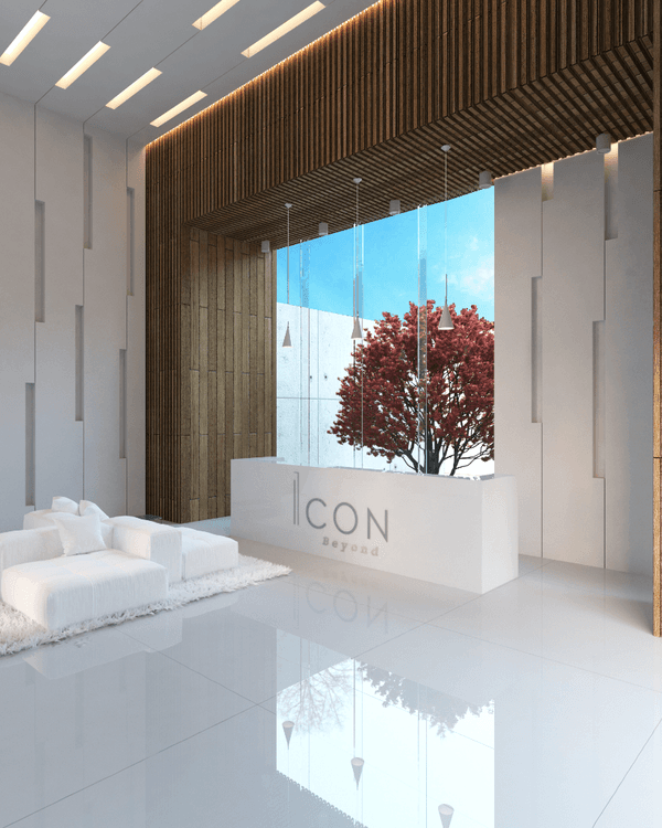 Portada de Icon Beyond
