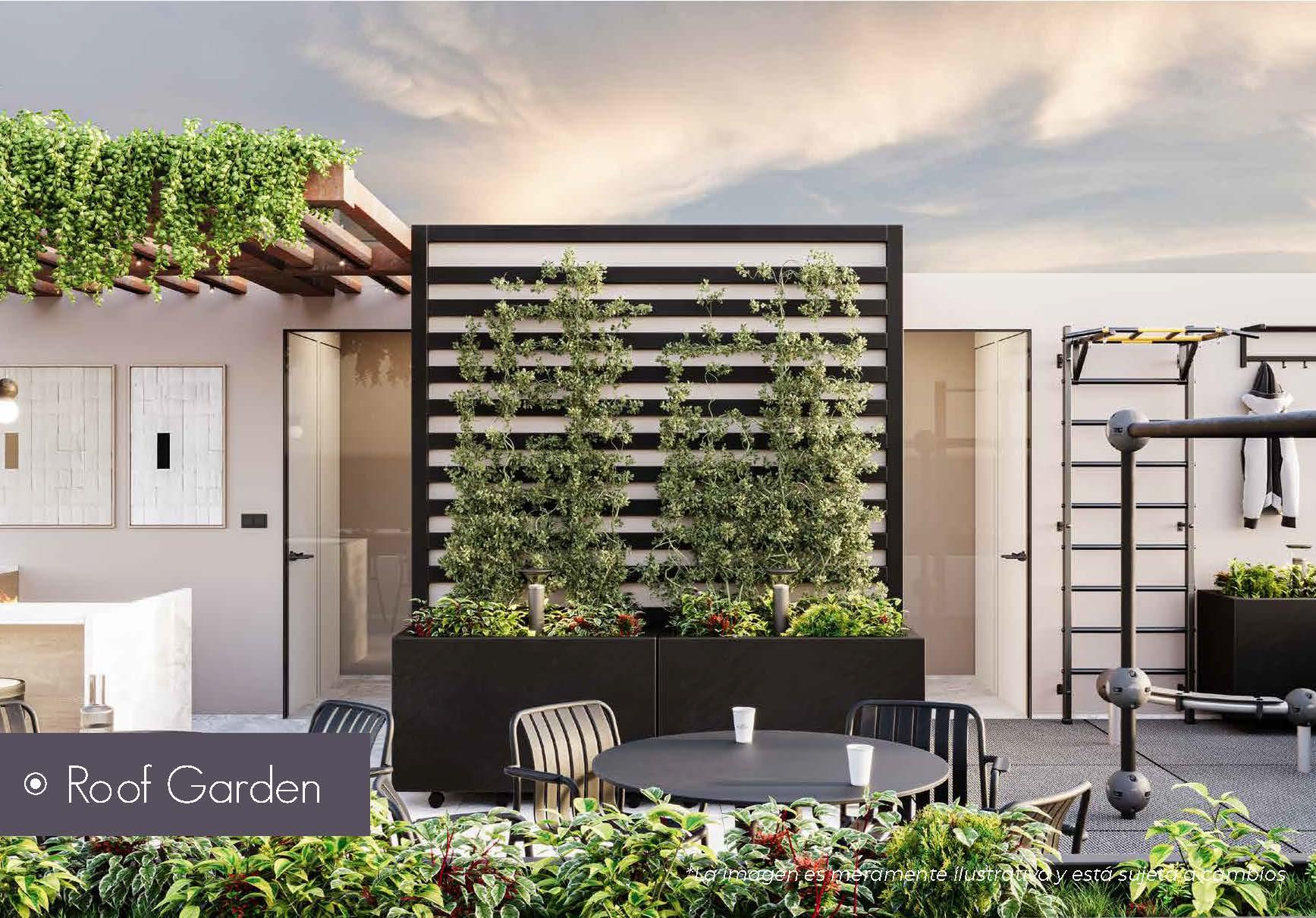 Portada de Casa Roma 269