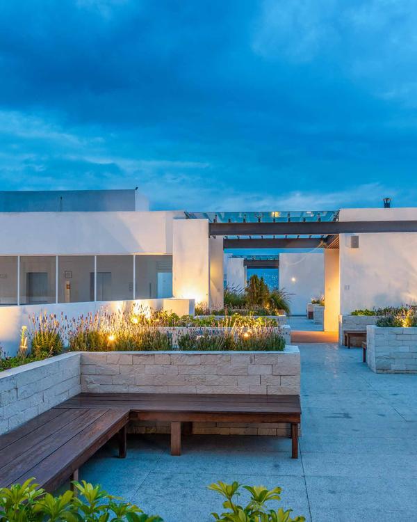 Portada de Único Coyoacán