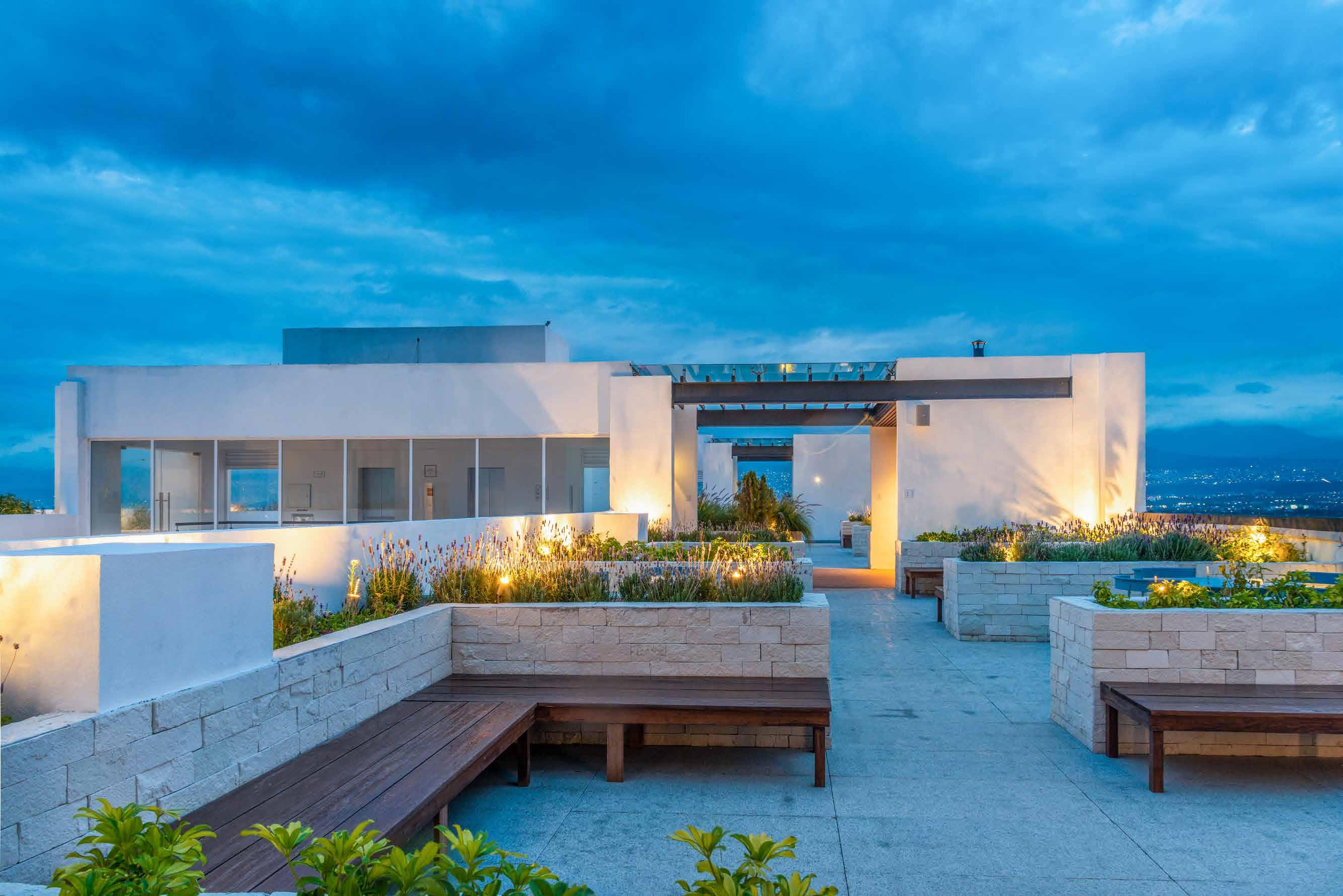 Portada de Único Coyoacán