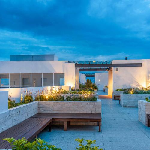 Portada de Único Coyoacán