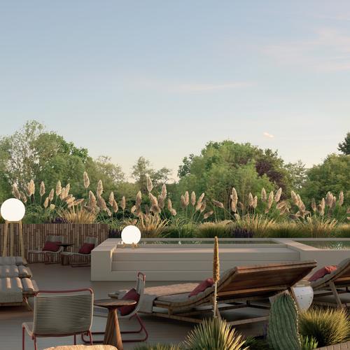 Portada de Living Pedregal