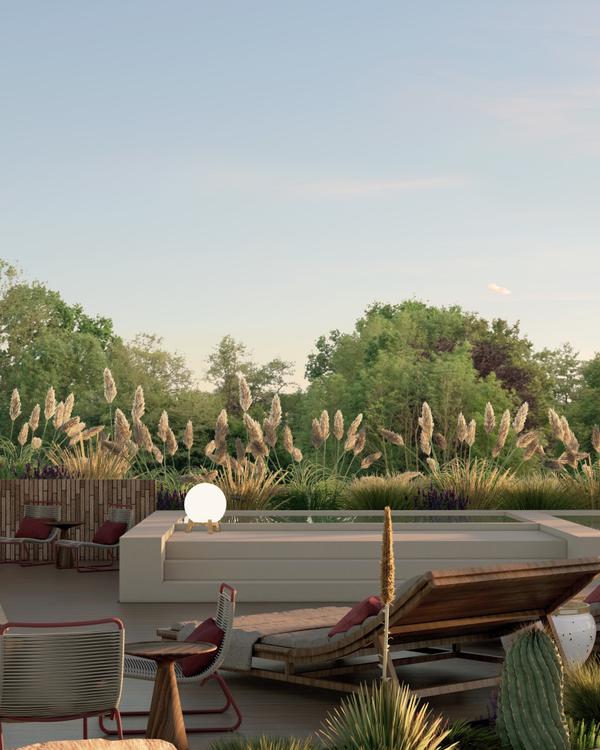 Portada de Living Pedregal