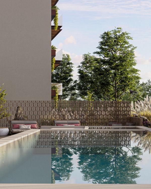 Portada de Living Pedregal