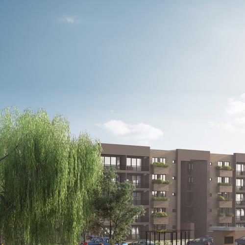 Portada de Milla Dorada