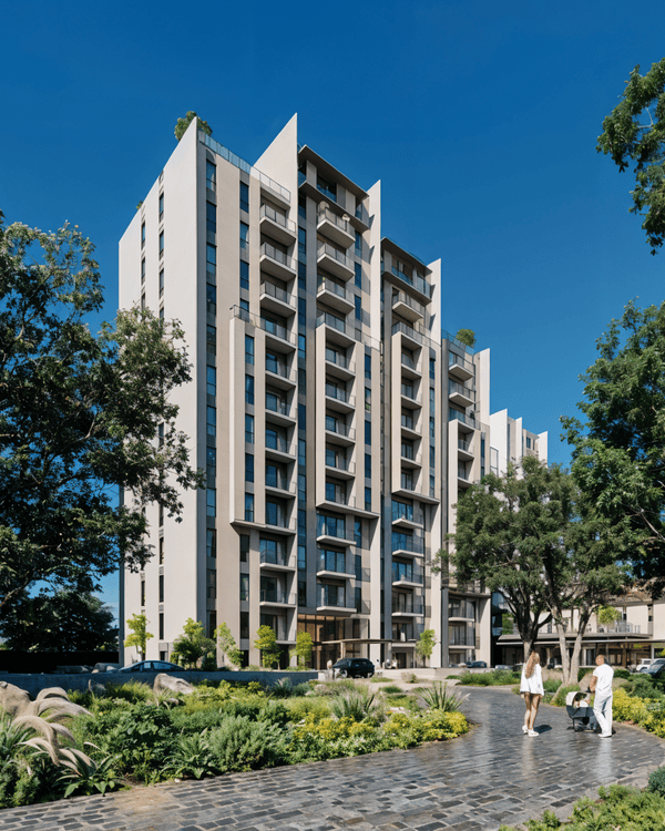 Portada de Entrebosques T5