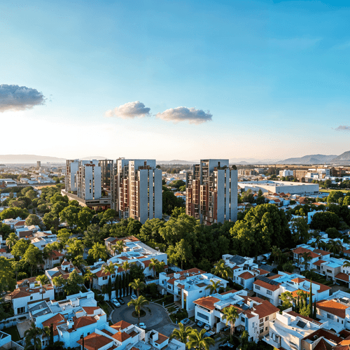 Portada de Entrebosques T5