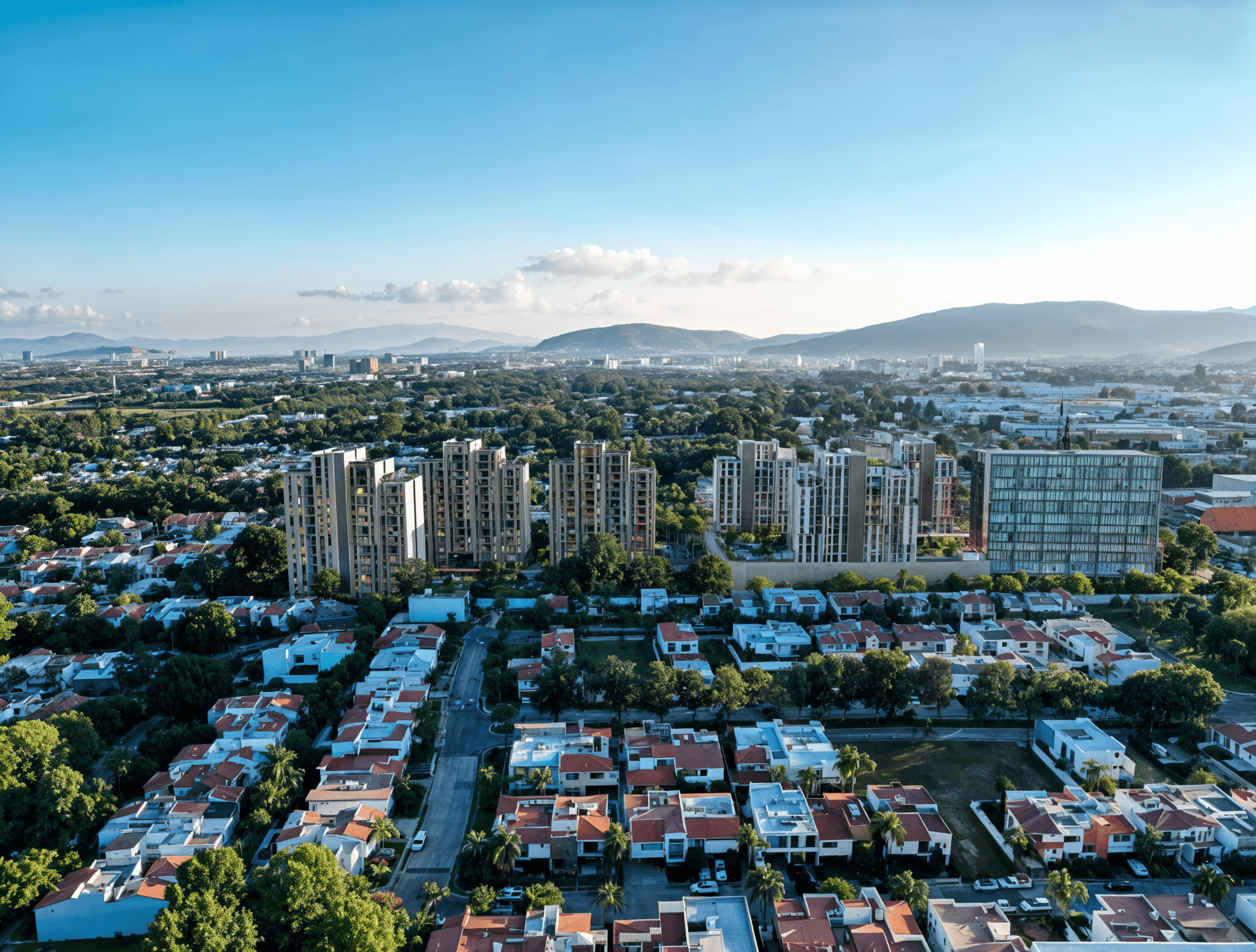 Portada de Entrebosques T5