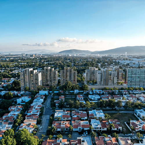 Portada de Entrebosques T5