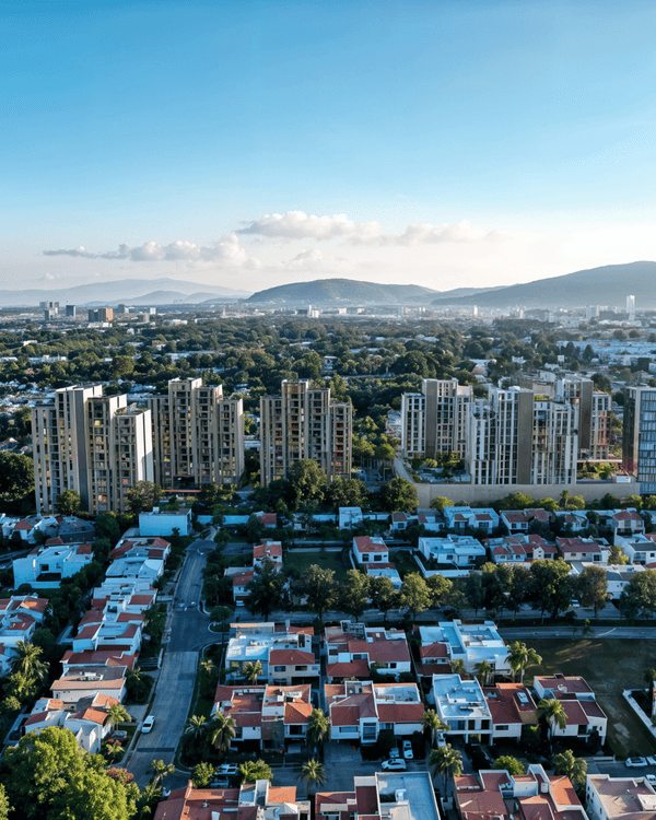 Portada de Entrebosques T5