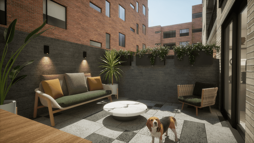 imagenes proyecto