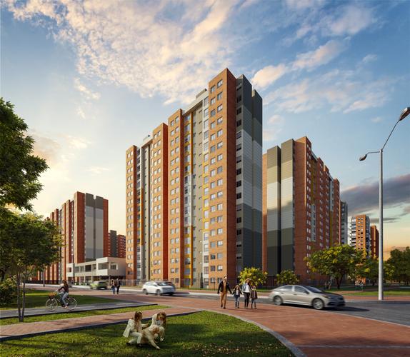 imagenes proyecto