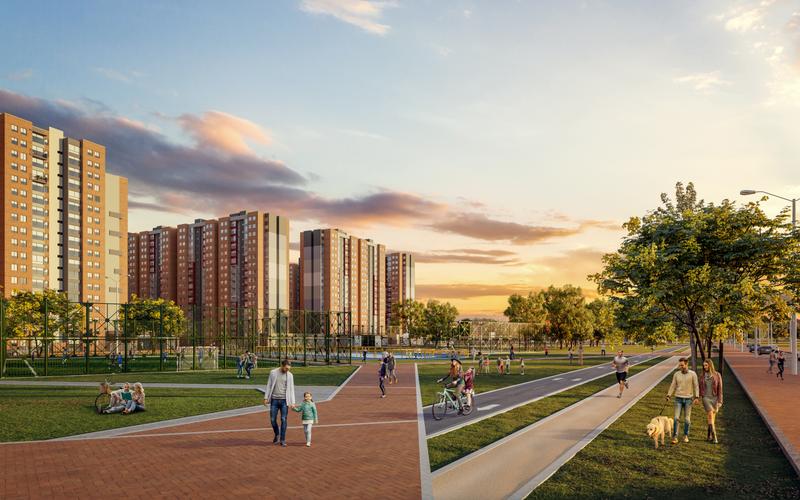 imagenes proyecto
